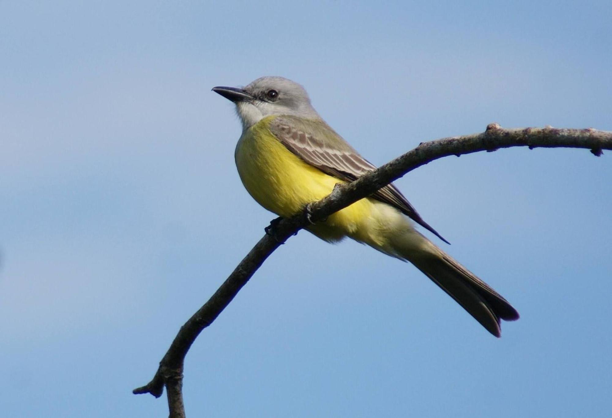 Mini Pini Birdwatching And Cenote Loft4 You Only Villa Cozumel Exterior foto