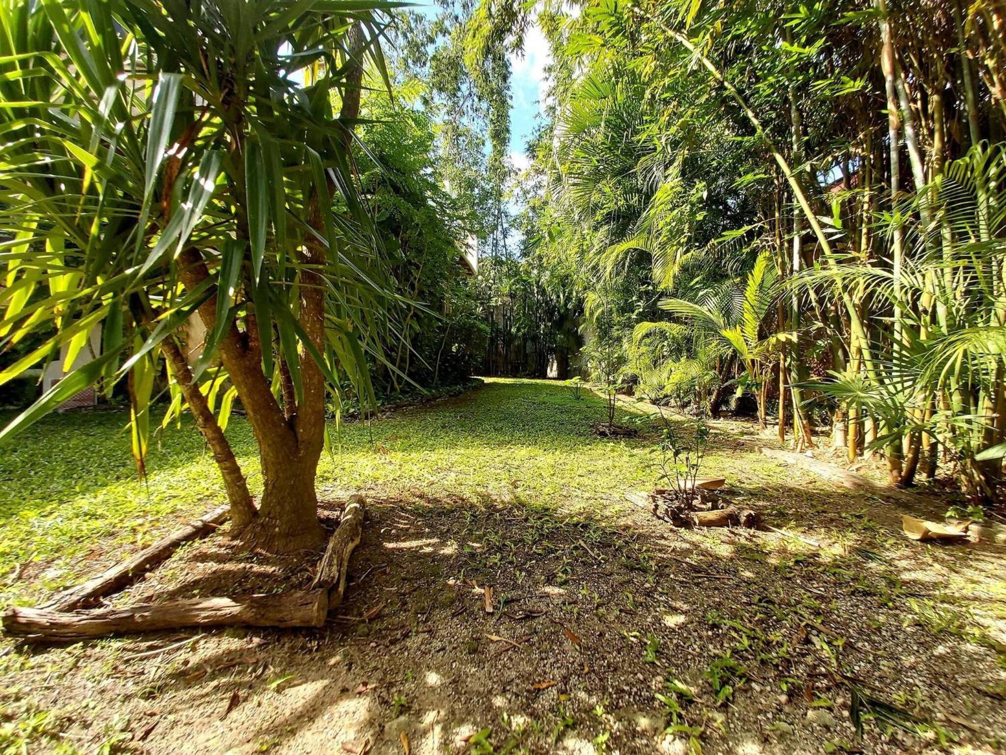 Mini Pini Birdwatching And Cenote Loft4 You Only Villa Cozumel Exterior foto